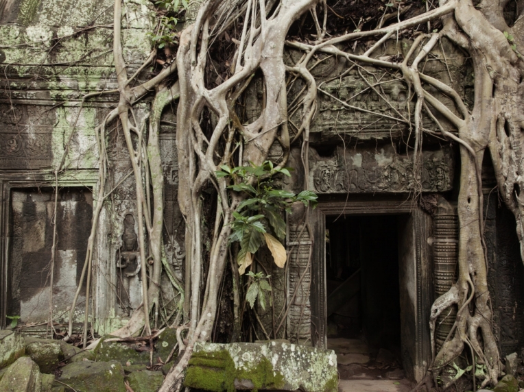 Jungle Wildlife And Temples Of Cambodia 12-Days 
