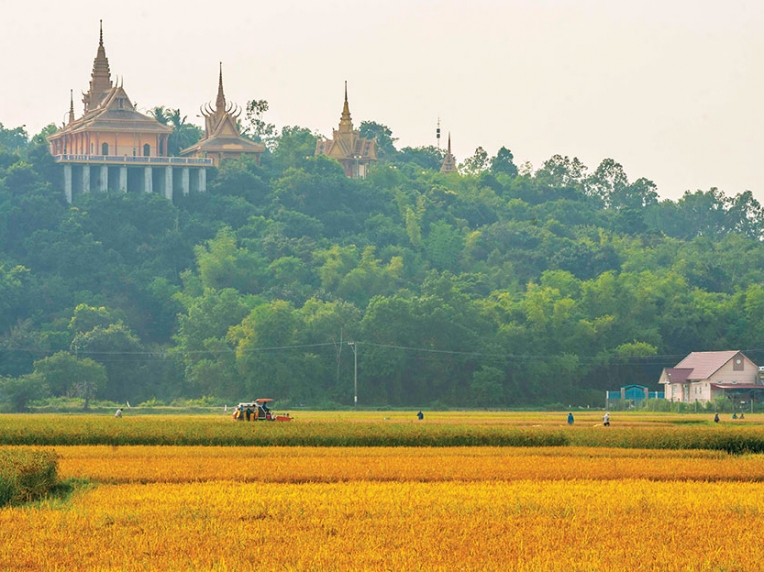 Authentic Mekong Delta 